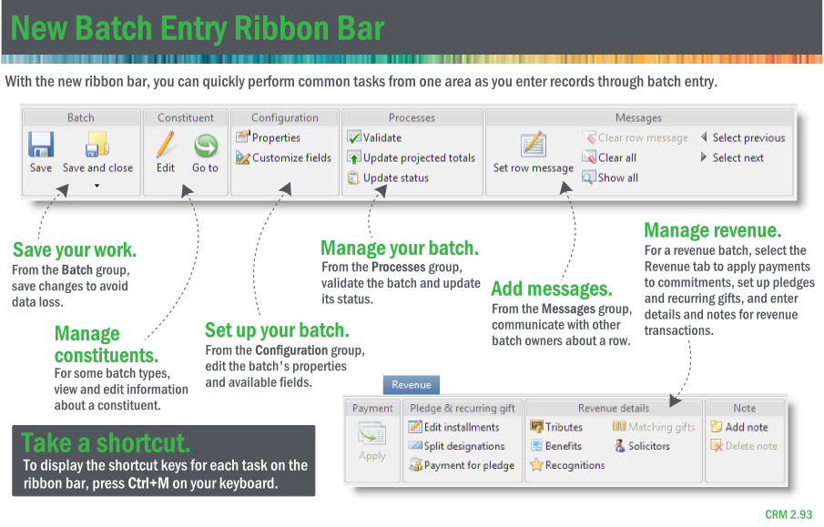 New batch entry ribbon bar