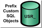 Prefix Custom SQL Objects. For customizations, it is important that tables, stored procedures, user defined functions, and views start with “USR_’. Prefixing database objects with USR_ is a key to avoid potential naming collisions with future features delivered as part of the product.