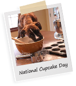 National Cupcake Day